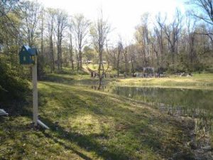 This Must Be the Place installation by the lake at ALPHA 2016, by Daphne Carr